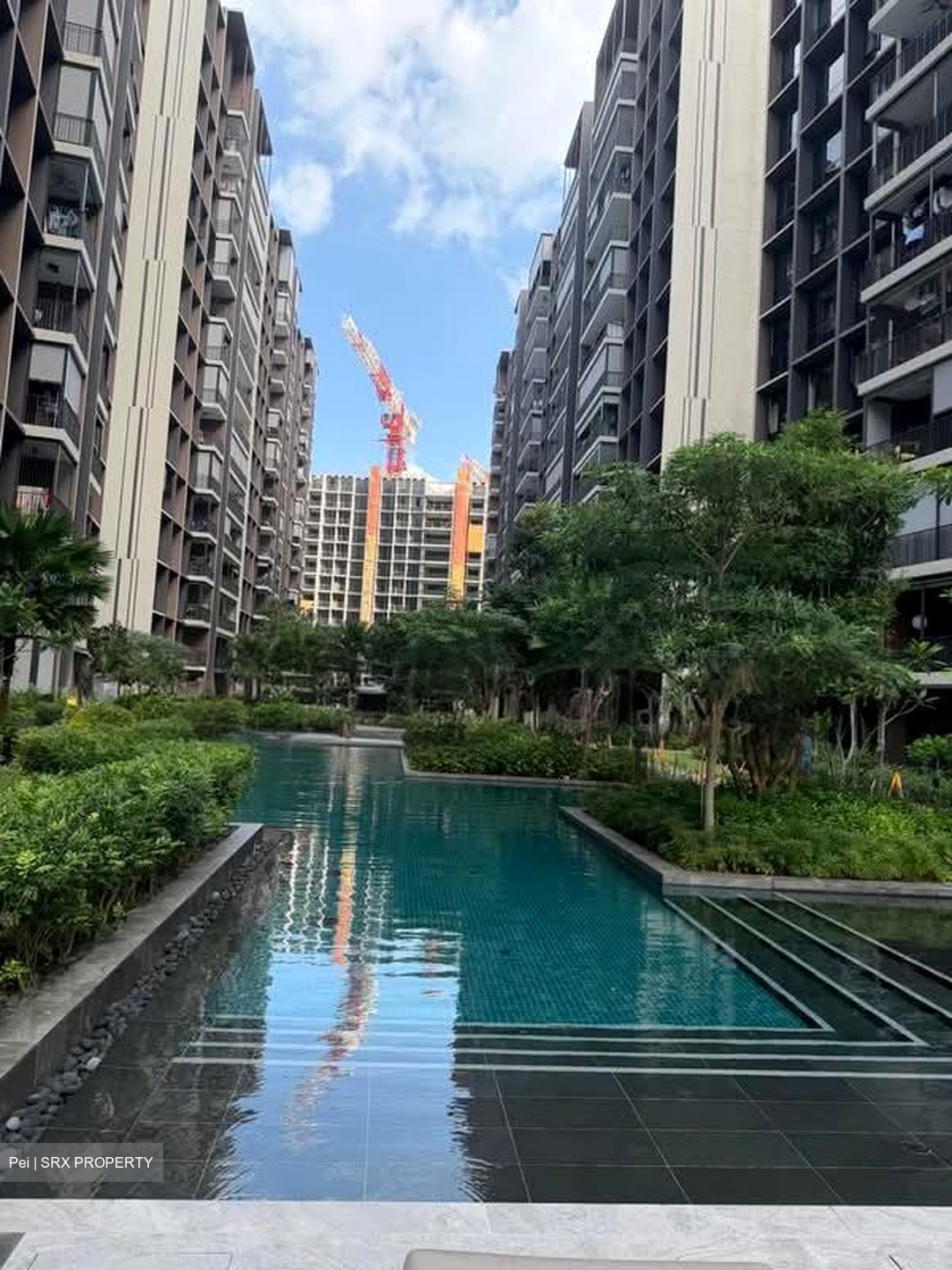 Tenet (D18), Condominium #553539381